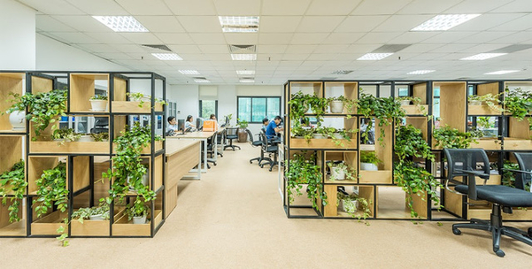 Cây xanh giúp thanh lọc không khí và giảm bớt căng thẳng khi làm việc