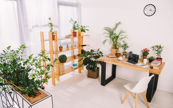 Trang trí bàn làm việc bằng cây xanh để hỗ trợ hướng ngồi tốt hơn